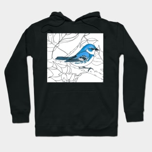 Cerulean Warbler Hoodie